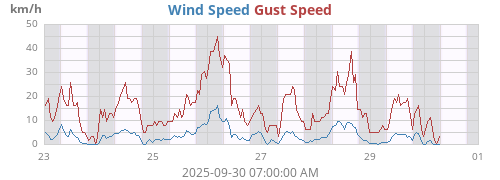 weekwind